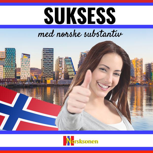 suksess med norske substantiv_annonse-kopi