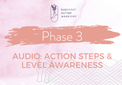 Phase 3 audio action steps