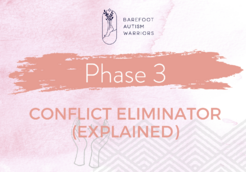 Phase 3 conflict eliminator (explained)