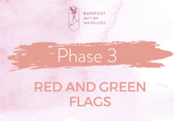 phase 3 red and green flags