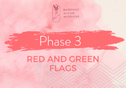 RED AND GREEN FLAGS