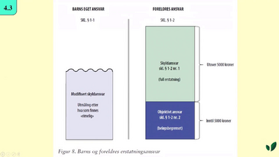 JK09 Barn og foreldres erstatningsansvar