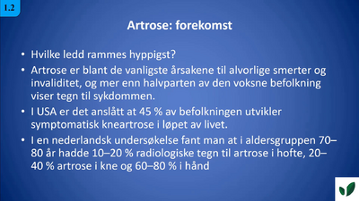 JK11 Forekomst 1.2