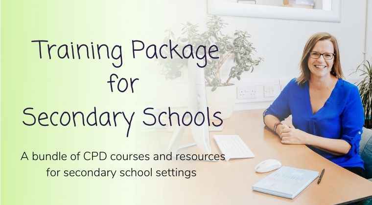 Secondary Schools Training Package- Single User
