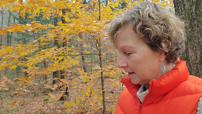 Research Summary What Is It - 20211115_145829