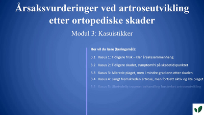 JK11 Presentasjon av kasuistikkene 3.0.