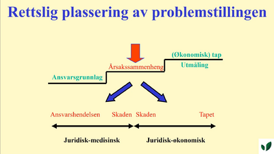 JK11 Juridiske sider ved årsaksvurderingen av professor Morten Kjelland 4.2.
