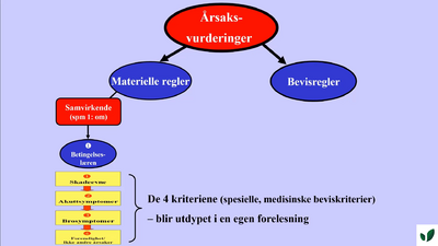 JK11 Om det overhodet foreligger årsakssammenheng årsakssamvirke 4.2.2.