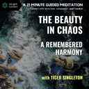 TBICRH - The Beauty in Chaos, a Remembered Harmony