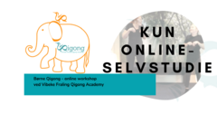 Børne Qigong workshop online-3