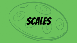 EN-Vol-3-Thumbnail-Scales