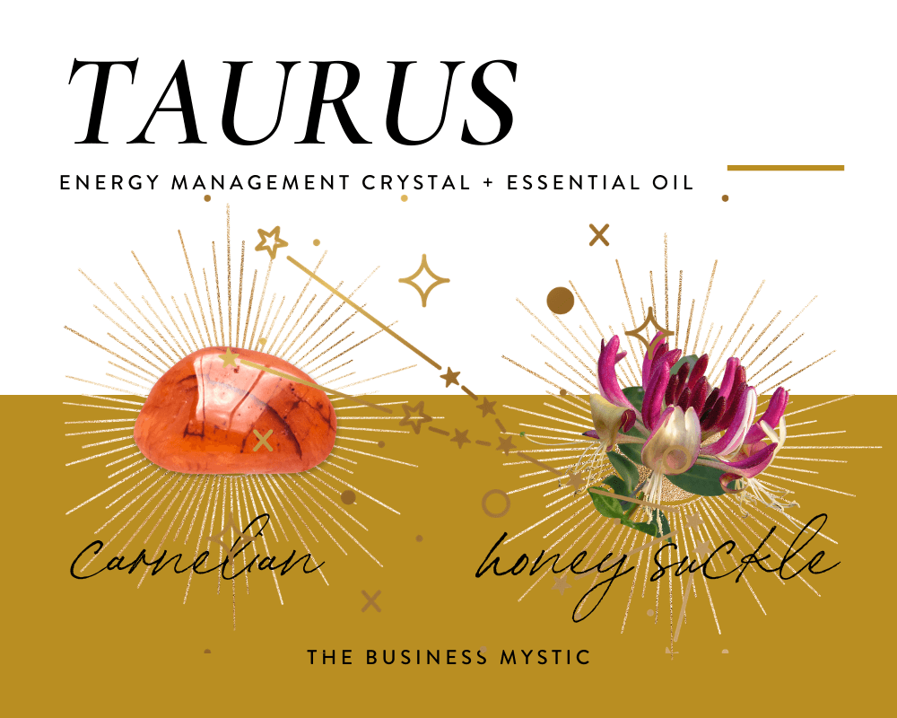 Taurus+EC