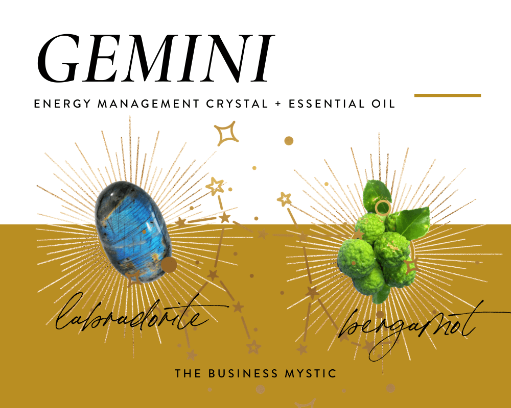 Gemini+EC