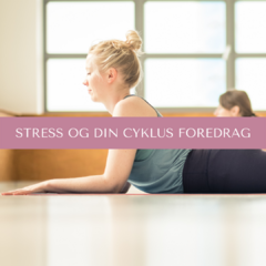 Stress og din cyklus foredrag - Katalog kurser Laura Grbub stress symptomer symptomer på stress menstruationscyklus hormoner kortisol højt lavt hvad er stress stres sygemelding behandling