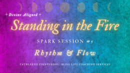 Spark Session Covers (9)