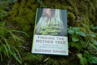 Finding the Mother Tree by Suzanne Simard