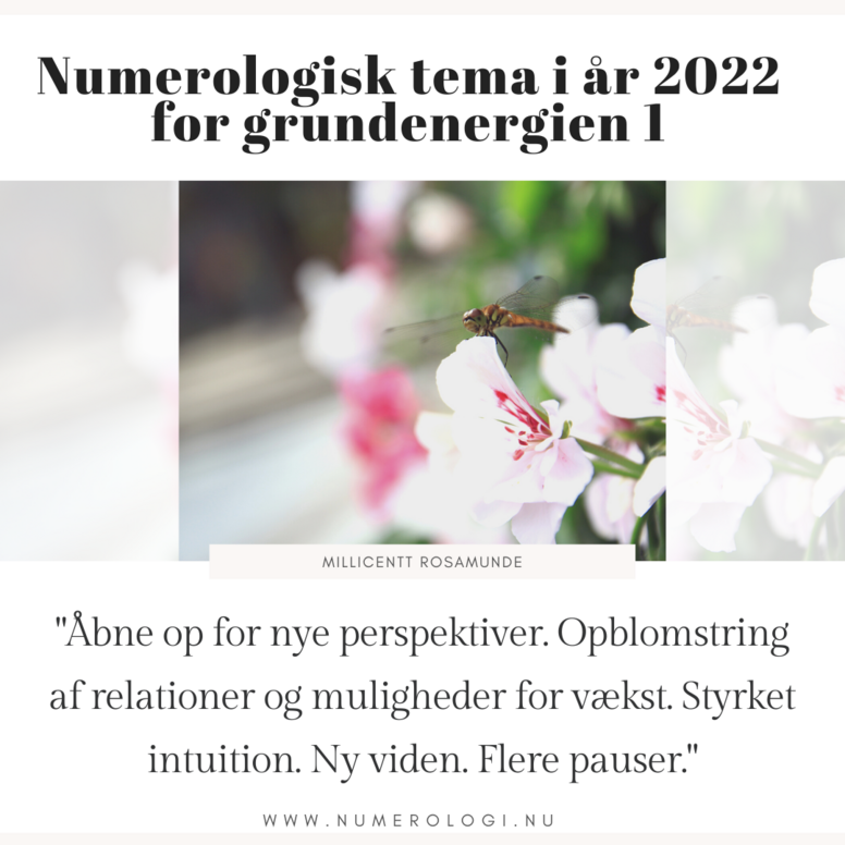 2022 - Numerologisk Tema for Grundenergien 1