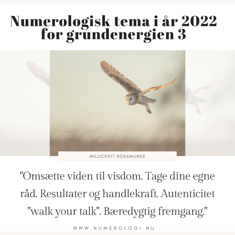 2022 - Numerologisk Tema for Grundenergien 3