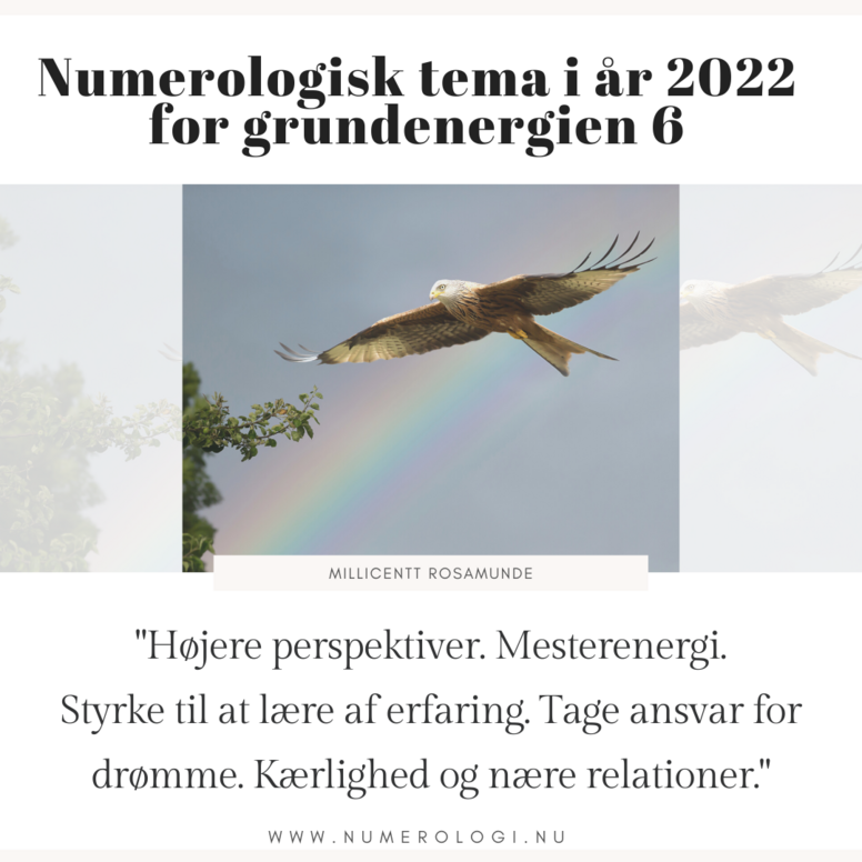 2022 - Numerologisk Tema for Grundenergien 6