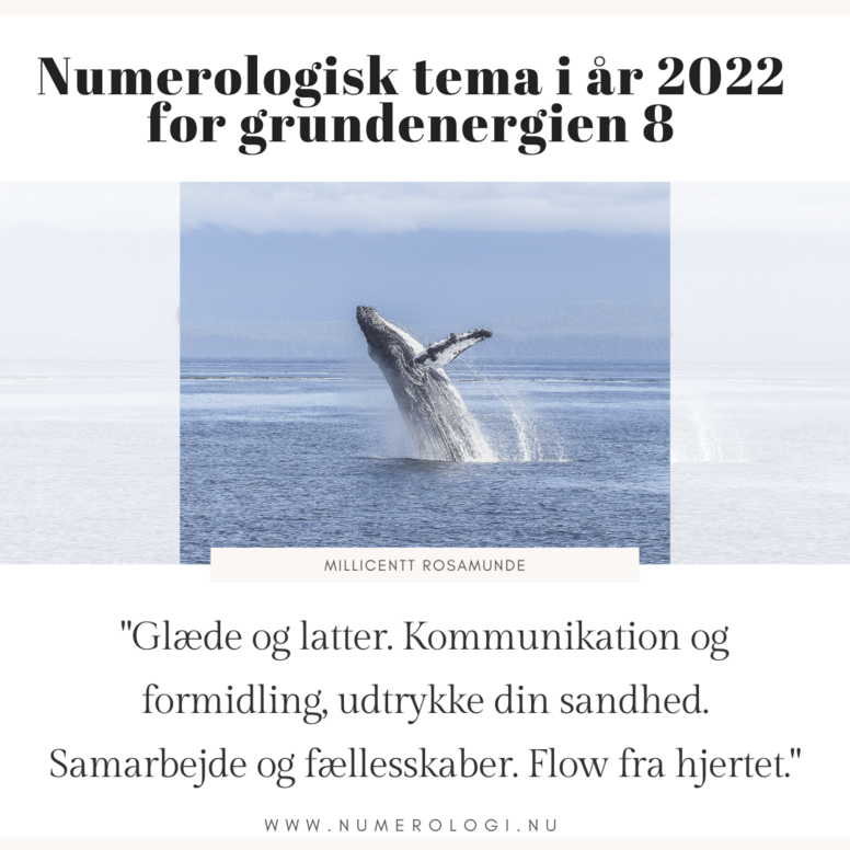 2022 - Numerologisk Tema for Grundenergien 8