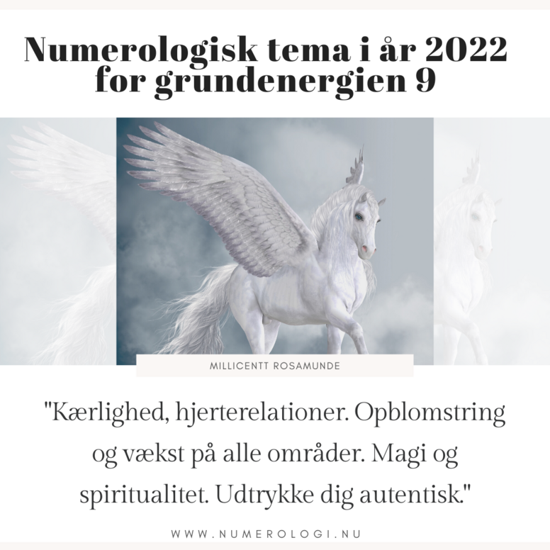 2022 - Numerologisk Tema for Grundenergien 9