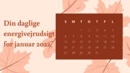 Red & Peach January 2022 Calendar 