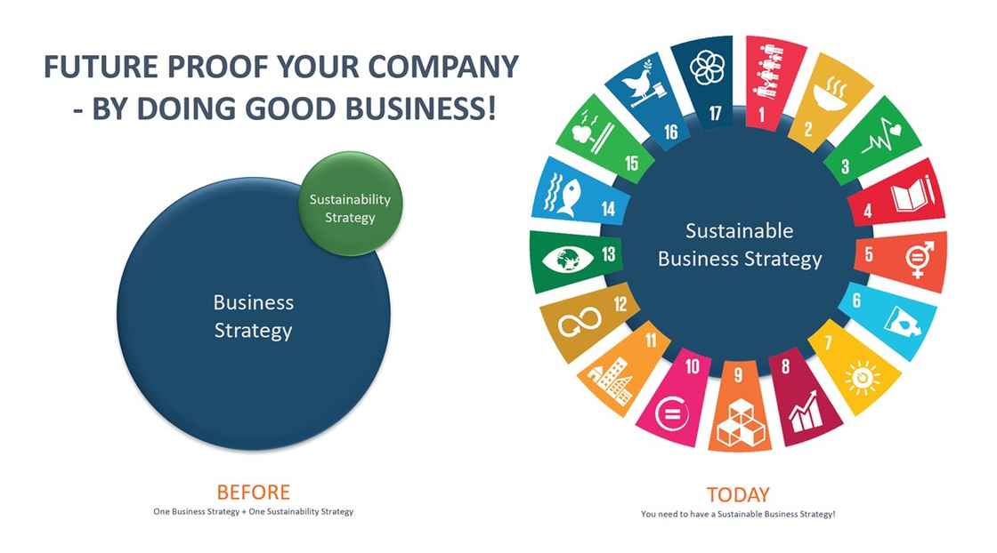 Sustainable-Business-Strategy_utan logga