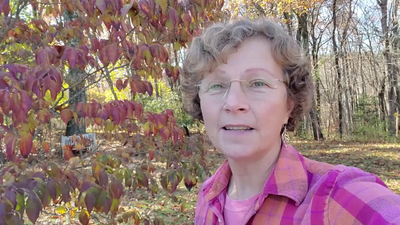 SFT-m1L1a - Forest Bathing vs Forest Therapy v2_Trim_Trim (Somatics)