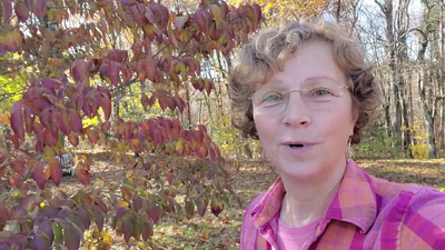 SFT-m1L2a -  - What is Forest Therapy and What its Not (Somatics)