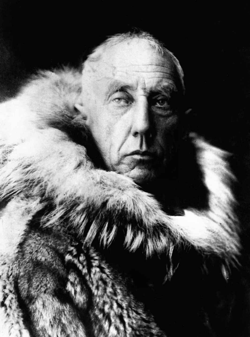 Roald_Amundsen_queenofclubs