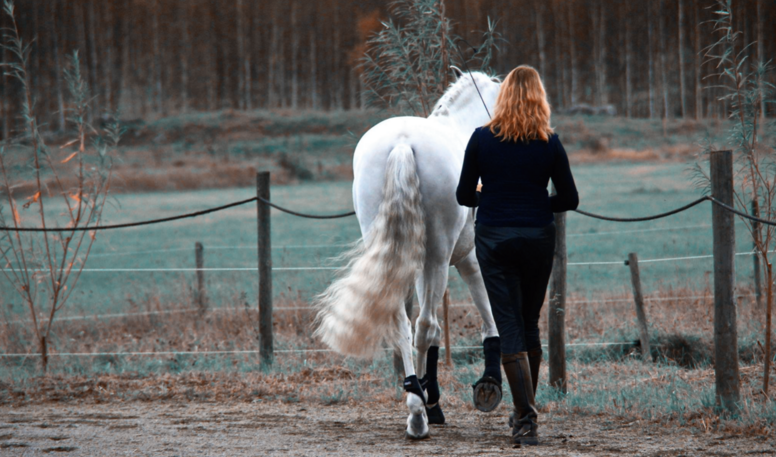 Kurs i Rakriktande långtygling - och ett problemlösande förhållningssätt till hästen 