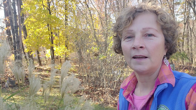 SFT-m5 - What Forest Therapy Brings to Somatic Work - 5-stars - 20211118_124759_Trim