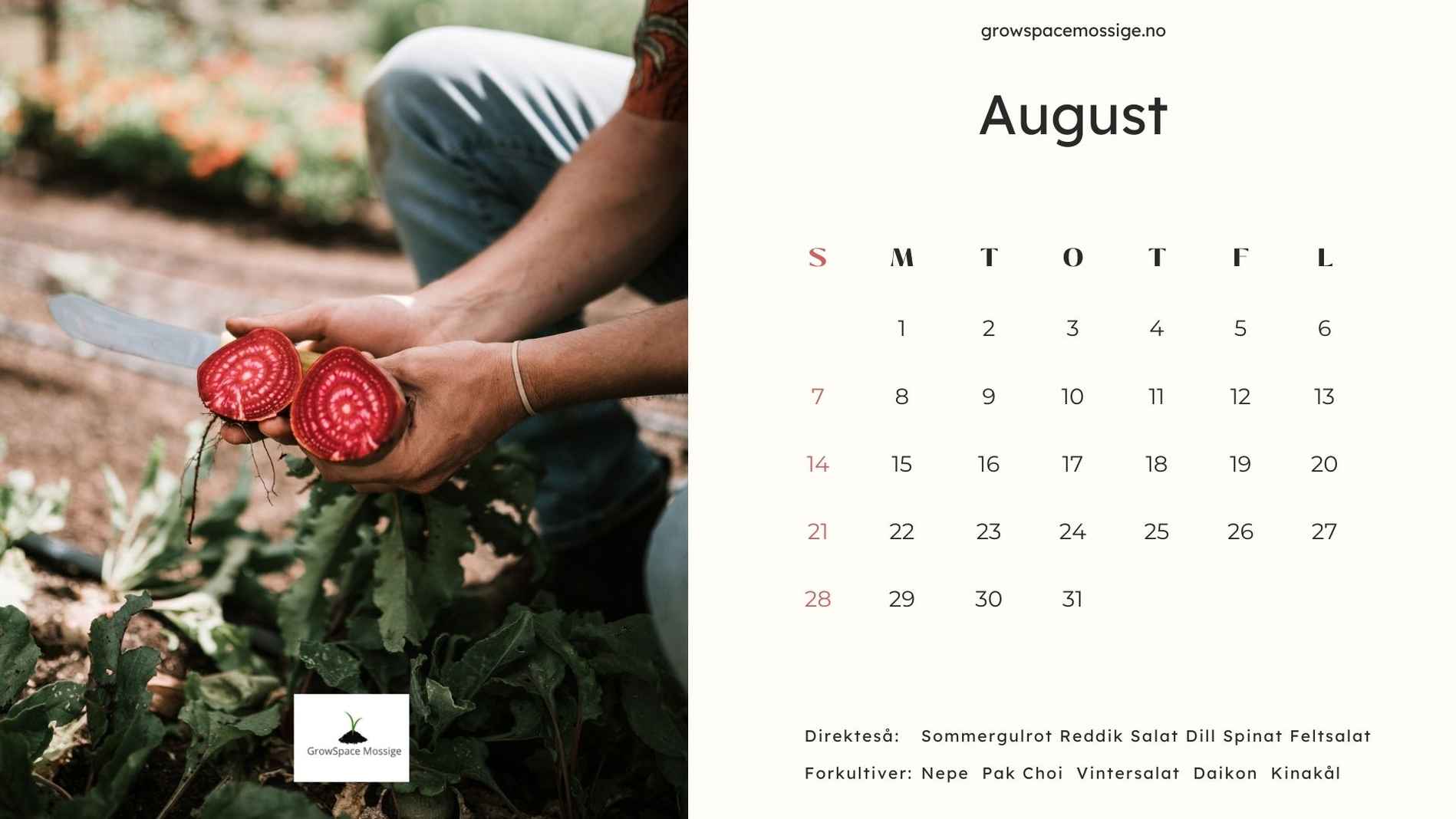 Monochrome Photo 2022 Calendar (2)