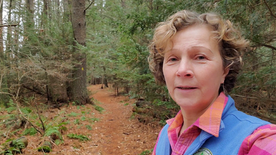 SFT-m3 - 4 Apects of Bodyfulness - somatics 20211229_131453