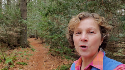 SFT-m5 - How Landscape Affects Us - somatics 20211229_135753