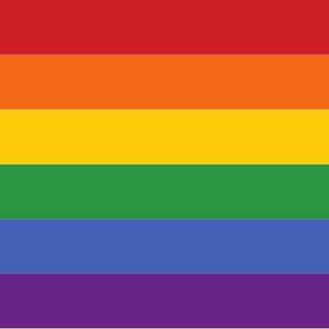 lgbtiq rainbow flag.png