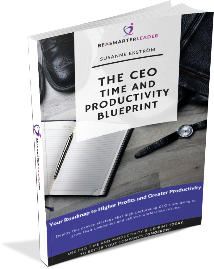 the-ceo-time-and-productivity-blueprint booklet