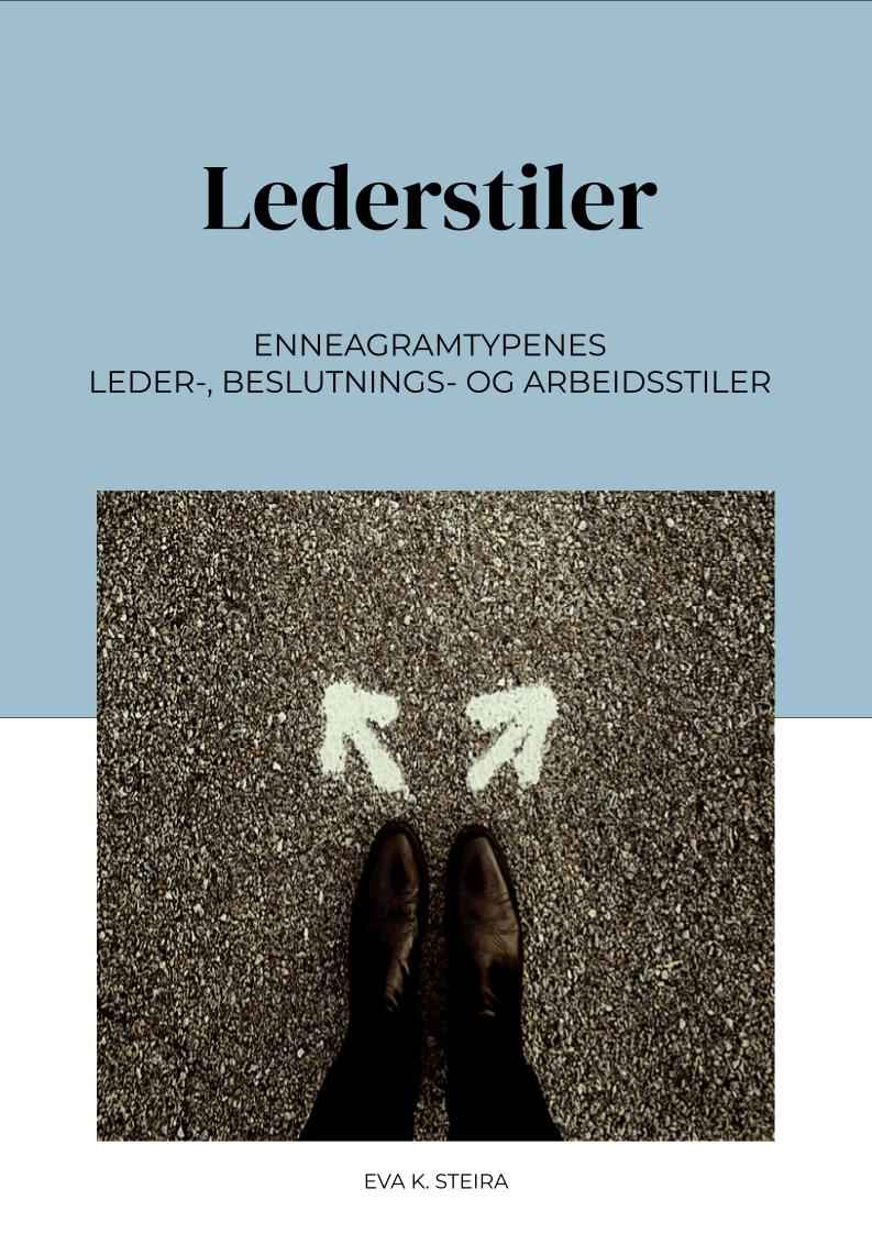 LEDERSTILER-2