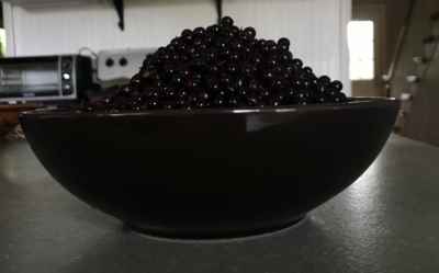 bowl-of-elderberries-edited