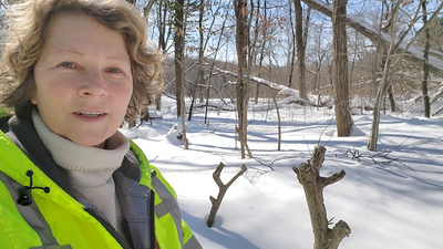 SFT Practicing Somatics in Partnership with Nature 3 - 20220131_112046