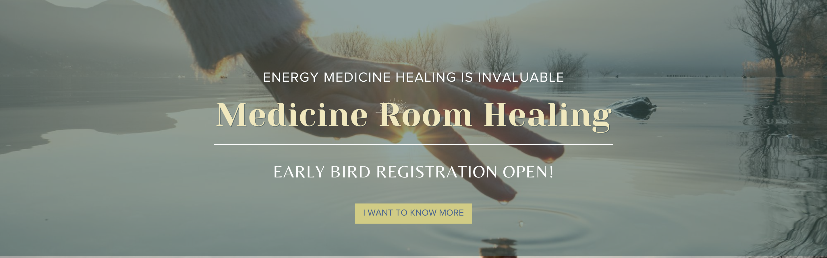 Medicine Room Healing Training course_banner