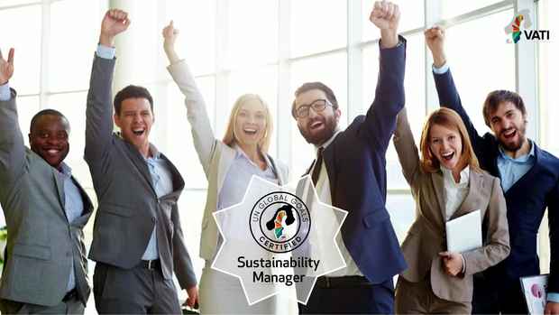 Sustainability Manager stor bild