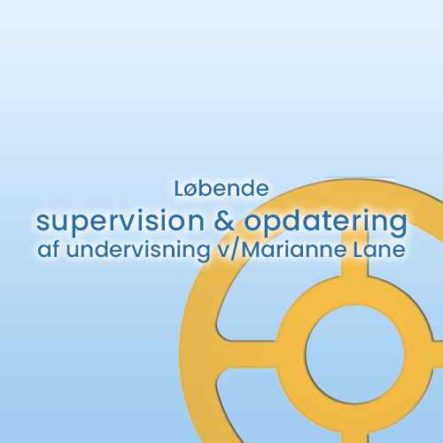 Løbende supervision og opdatering af undervisning v/Marianne Lane