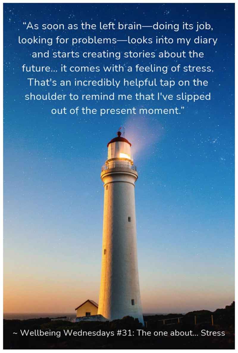 WBW #31 quote - Stress has a feeling