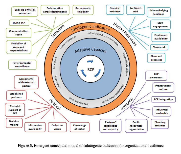 Figure 3 - Emergent Conceptual Model of Salutogenic Indicators for Organizational Resilience - Tracey, 2015