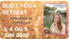 Yin yoga retreat juni 2022