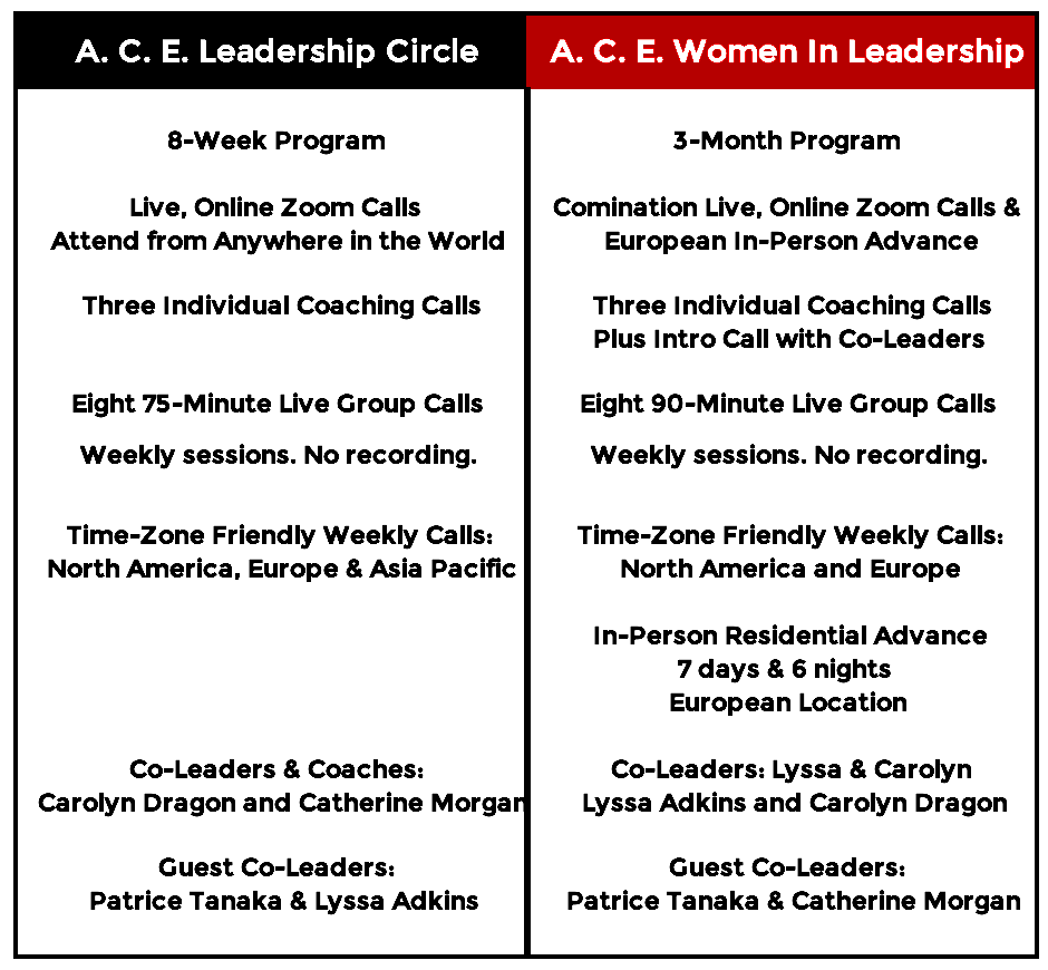 A. C. E. Programs Summary. 1