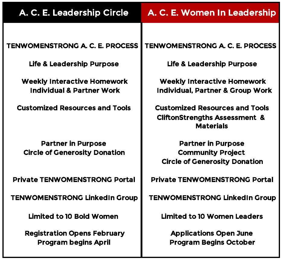 A. C. E. Programs Summary. 2