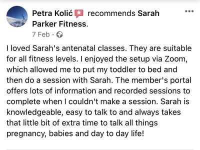 online pregnancy for mums with toddlers