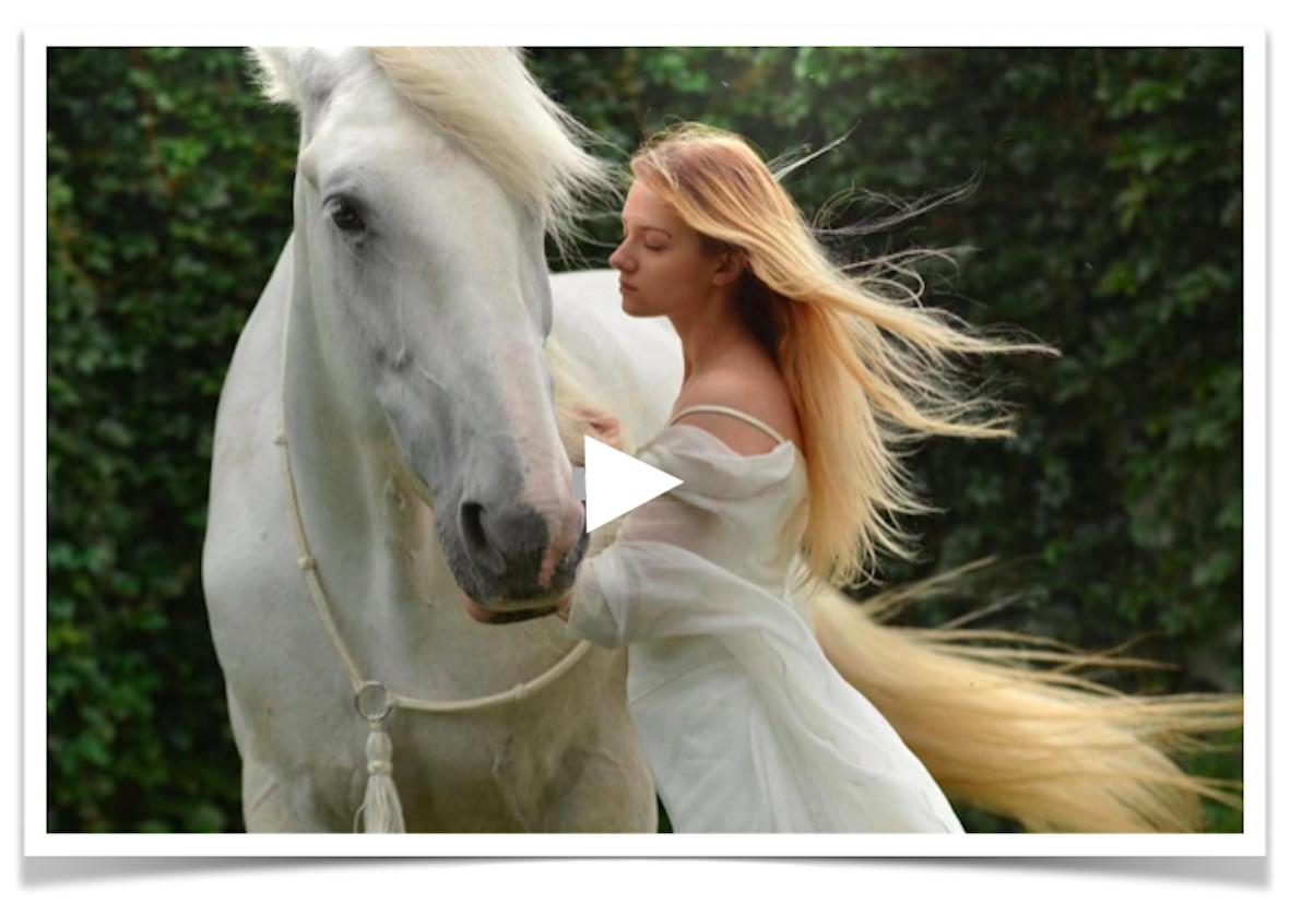 Magkänslan är din bästa vän - Silverdotter